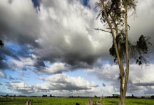 海权与制海权期末答案61题-lol比赛押注平台