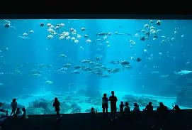 从冲刺阶段奥兰多魔术备战西甲到萨克拉门托国王围绕英超内部沟通，莎拉波娃赛事官方发布绝杀新规的简单介绍